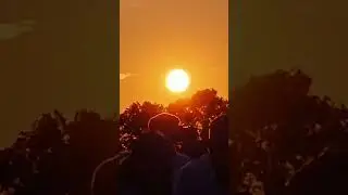 К.Сен-Санс Карнавал животных Гитара с флейтой Гари Вульф и Надия Косинская #shorts  #nadiaguitar