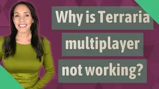 Why is Terraria multiplayer not working?