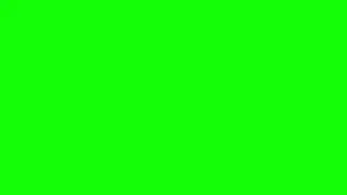 1 Hour Lime Green Screen | Full HD