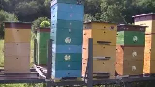Удав- малоформатный улей.