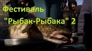Диалоги о рыбалке - 178 - Фестиваль 
