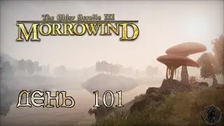 The Elder Scrolls III: Morrowind. Прохождение. Альтмеры инструкторы гоблинов (часть 101)
