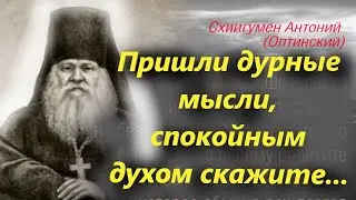 Не бойся мыслей мрачных, иди твёрдою стопою и призывай Господа со словами... Старец Антоний