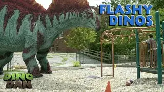 Stay Flashy Amargasaurus! | Dino Dan Trek's Adventures | Best of Dino Kids
