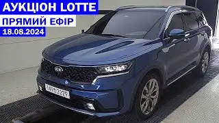 ОГЛЯД КОРЕЙСЬКОГО АУКЦІОНУ LOTTE НА 19.08.2024. SPORTAGE. К5. SORENTO MQ4. ADVISOR AUTO