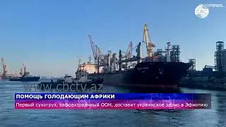 Сухогруз, зафрахтованный ООН, доставит украинское зерно в Эфиопию
