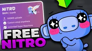 Get Discord Nitro FREE with this Promotion! (Again)