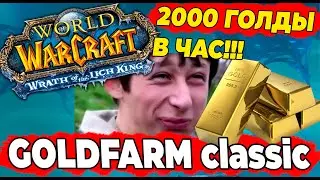 ГОЛДФАРМ 1: 2000+ голды в час!! сук)). Фарм Извечного огня в World Of Warcraft WOTLK Classic 