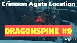 Crimson Agate [#9597] Location: Dragonspine #9 - Genshin Impact