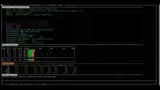 Using nmon in kali linux 2020