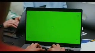 Woman | Typing | Laptop | Green Screen | Screen | Work | Free Stock Video Footage 4K [ No Copyright]