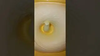 satisfaction