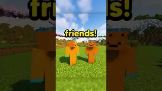 HOW TO PLAY WITH YOUR FRIENDS ON JAVA! 