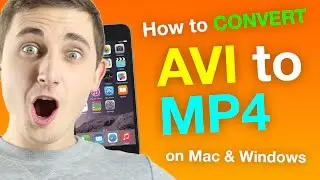 How to Convert AVI to MP4 on Mac/Windows [Step-by-Step] 💻