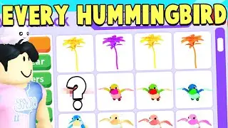 I Opened EVERY HUMMINGBIRD in Adopt Me!