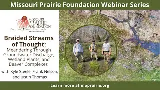 MPF Webinar: Braided Streams of Thought: Groundwater Discharge, Wetland Plants, & Beaver Complexes