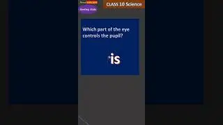 Human Eye and Colourful World Question 