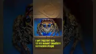 СКОЛЬКО НУЖНО СИЛ ЧТОБЫ ОТОРВАТЬ ЧЕЛОВЕКУ УХО??? [жуткие факты] 
