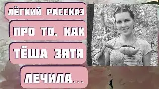 ЛЁГКИЙ РАССКАЗ ПРО ТО, КАК ТЁЩА ЗЯТЯ ЛЕЧИЛА...