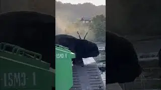 Чилийский бомж😁
