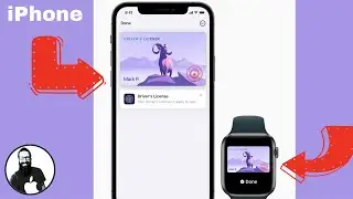 Apple Wallet to Include Driver’s Licenses and State IDs!