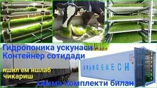 Сотилади. Гидропоника - чорвачилик учун яшил ем ишлаб чик,ариш ускунаси. +998903556053