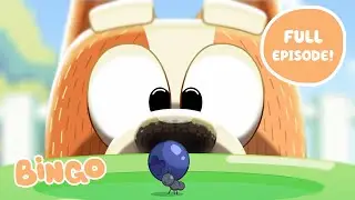 Bingo 🧡 FULL EPISODE | Bluey Series 2 | Bingo - Official Channel
