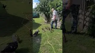 Песня для души. Людмила Якушева,,Не возвращайся,,Деревня Толкачевичи, Узденский район