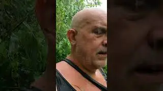 jungle rescue mission guide