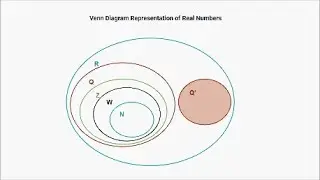 Number Types