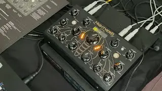 Erica Synths Nightverb: SUPERBOOTH 24