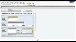 SAP Audit