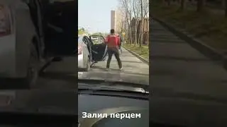 Не дал себя в обиду 