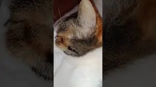 Look at this 