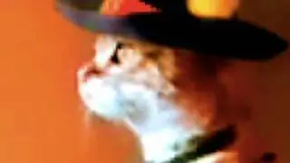 Real life PUSS IN BOOTS!