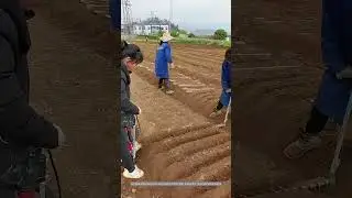 Self-Made Tool Digging Soil Easily For Planting Yam !