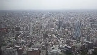 View from top of Metropolitan Government Building, Tokyo, Japan.