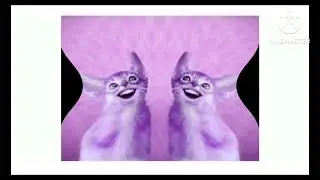 Preview 2 Numa Cat 3 in deaf blind major deaf major angry v major and deaf Luig group in h major 9