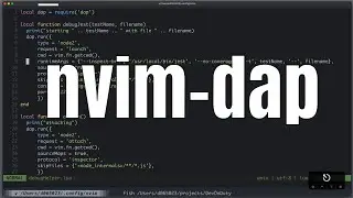 Neovim Plugin: nvim-dap