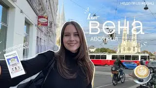 Вена - лучший город в Европе? Учеба в Венском Университете