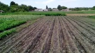 Сравнение воздушки любаши