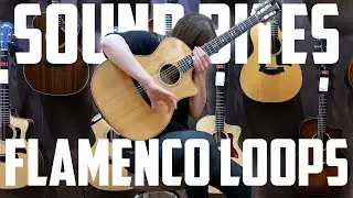 BOSS RC-30 | FLAMENCO LOOPS