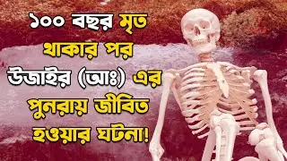 একশ বছর মৃত থাকার পর উযাইর (আঃ) এর পুনরায় জীবিত হওয়ার ঘটনা!