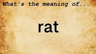 Rat Meaning | Definition of Rat