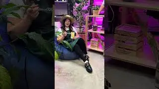 Результаты сезона
