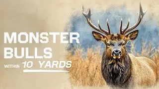 Bow Hunting Trophy Bulls | Insane Elk Hunting | Bugling Bulls at 10 Yards!