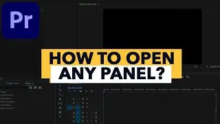 How to open ANY PANEL in Adobe Premier Pro? (hidden panels)