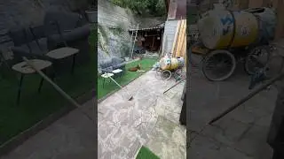 Шо? Как Вам?😎😆 