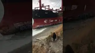 Тропинка на склоне, ведущая к выброшенному на мель сухогрузу RIO в Кабардинке