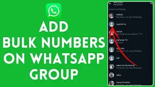 How to Add Bulk Numbers on Whatsapp Group (2024) | Include Bulk Numbers in Whatsapp Group